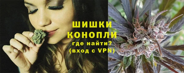 соль ск Гусиноозёрск