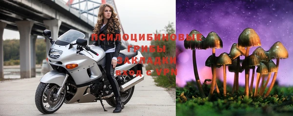 соль ск Гусиноозёрск