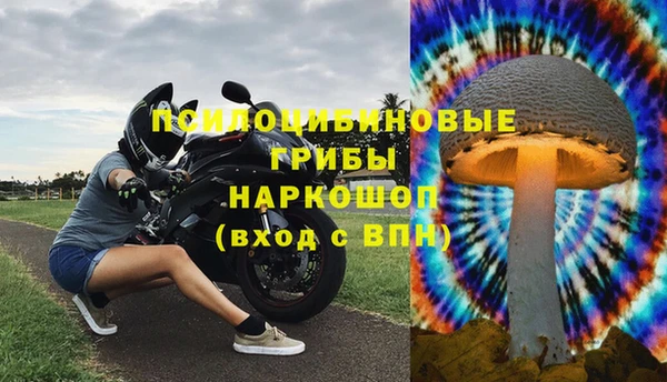 меф VHQ Гусев