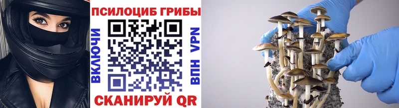 Галлюциногенные грибы ЛСД Старая Купавна